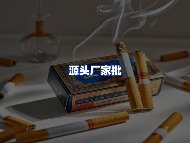 专业团队